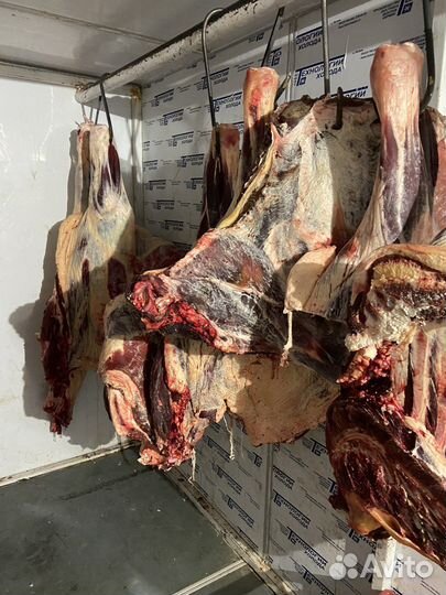 Мясо говядина халяль