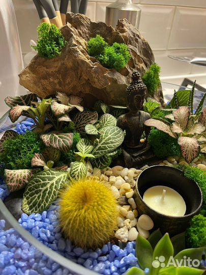 Флорариум В каждый дом