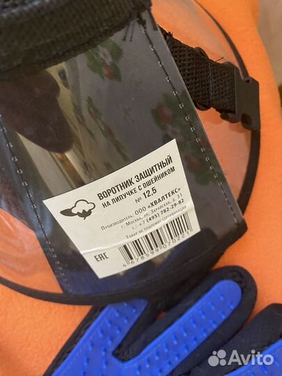 Все, что надо вашей кошки для счастья)