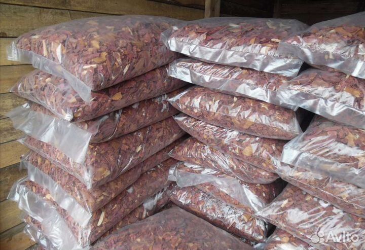 Кора лиственницы сибирской