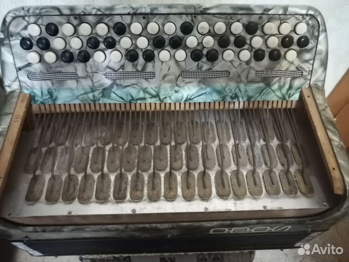 Баян немецкий