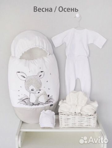 Комплект на выписку/на прогулку демисезонный