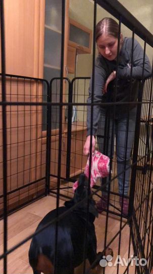 Вольер для собак в квартиру