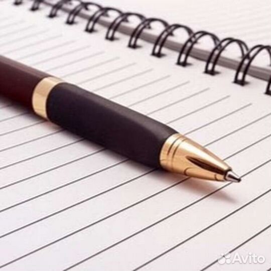 Напишу сочинение/эссе