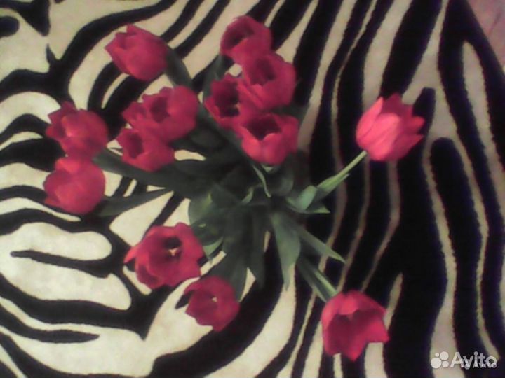 Уборка, помощь по дому. Не фирма. Клининг