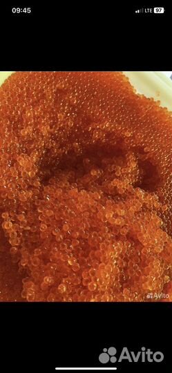 Красная икра