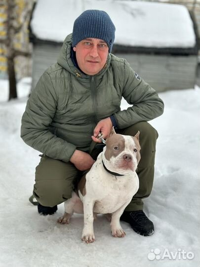 Кинолог-зоопсихолог