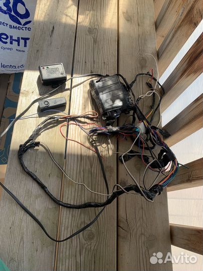 Сигнализация alligator