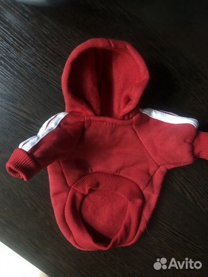 Одежда для собак