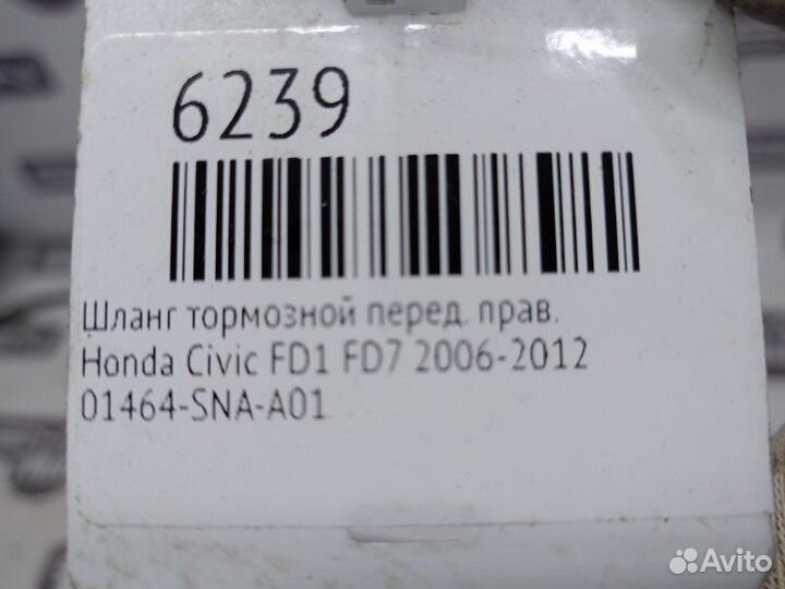 Шланг тормозной передний правый Honda Civic FD1