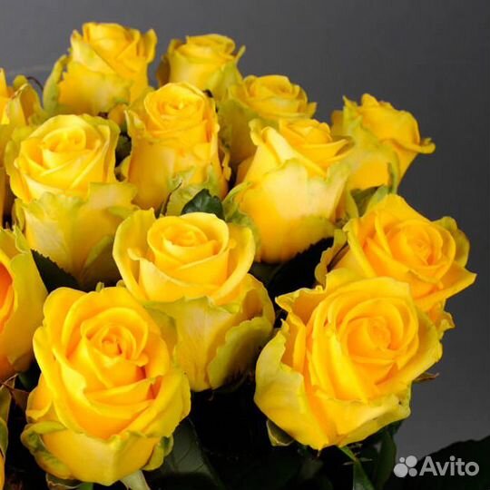 Букет из роз Penny Lane Премиум 50 см