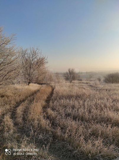 Участок 8 сот. (СНТ, ДНП)