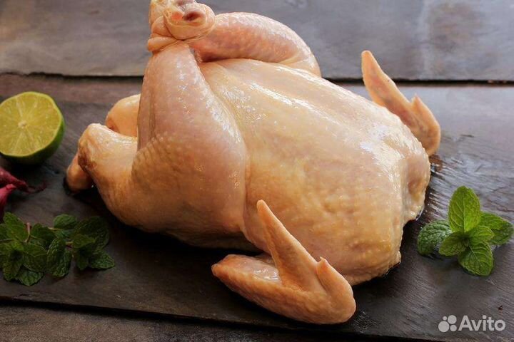 Мясо домашнего бройлера, индейки