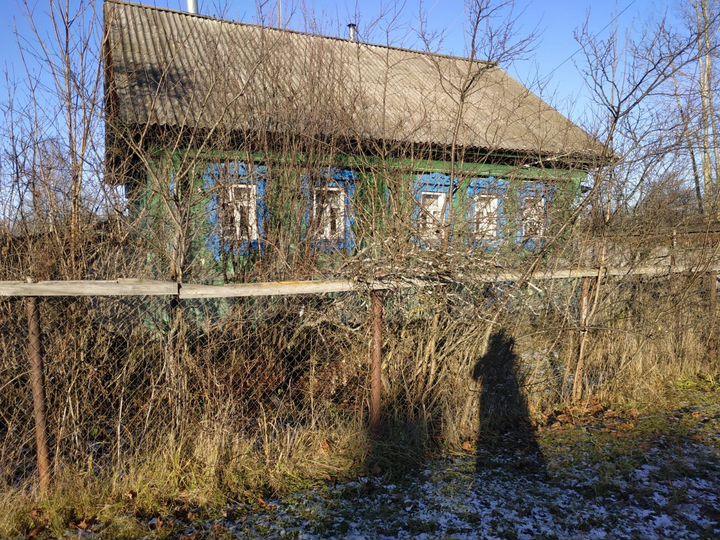 Дом 50 м² на участке 20 сот.