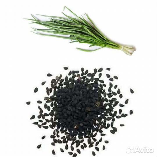 Семена лука. Кинза. Шпинат