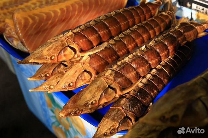 Икра аквакультуры Свежая рыба