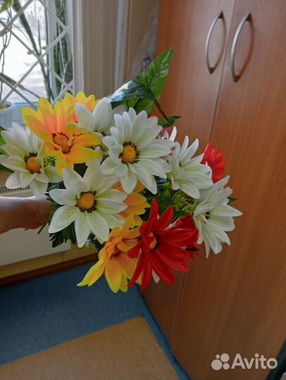 Гиппиаструм