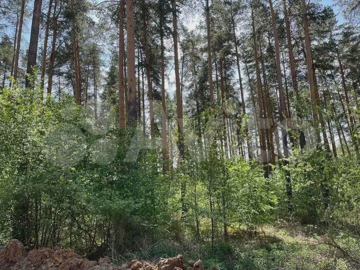 Дом 313,3 м² на участке 24 сот.