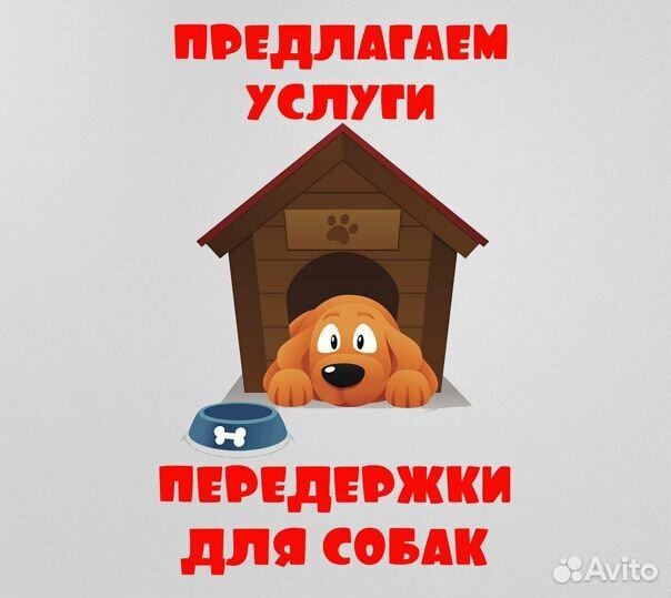 Передержка для собак