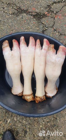 Требуха говяжья