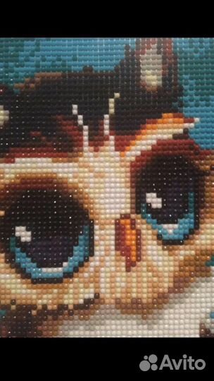 Готовые картины алмазная мозаика