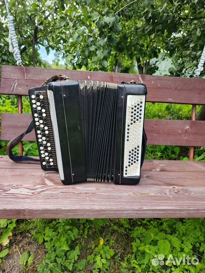 Баян тульский