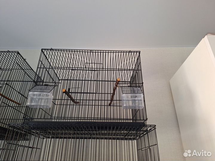 Клетки для птиц