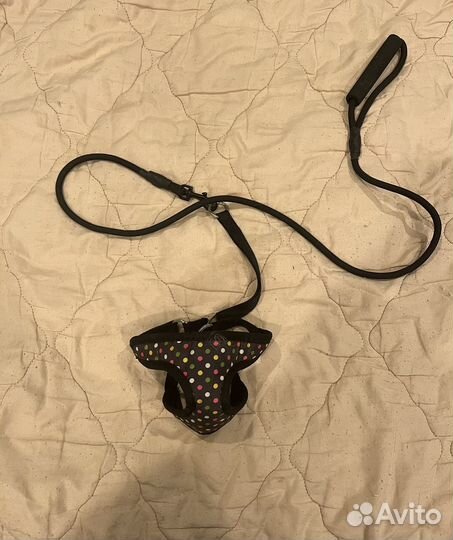 Шлейка для кошки