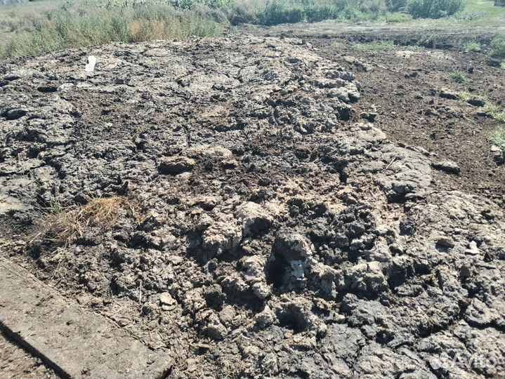 Навоз перегной бесплатно