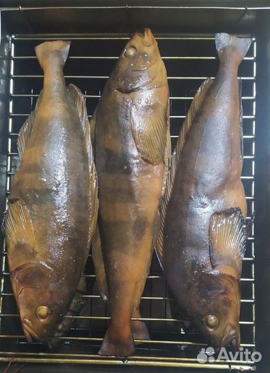 Рыба терпуг горячего копчения