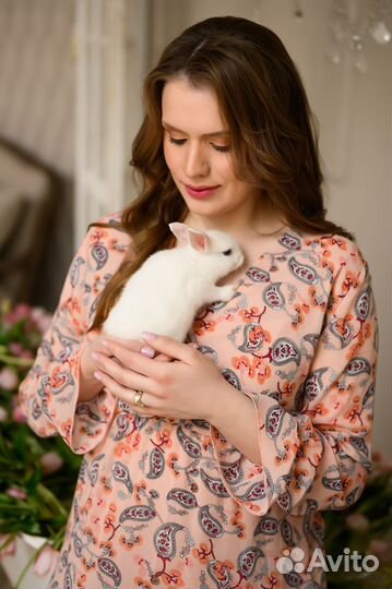 Репетитор по математике, алгебре и геометрии