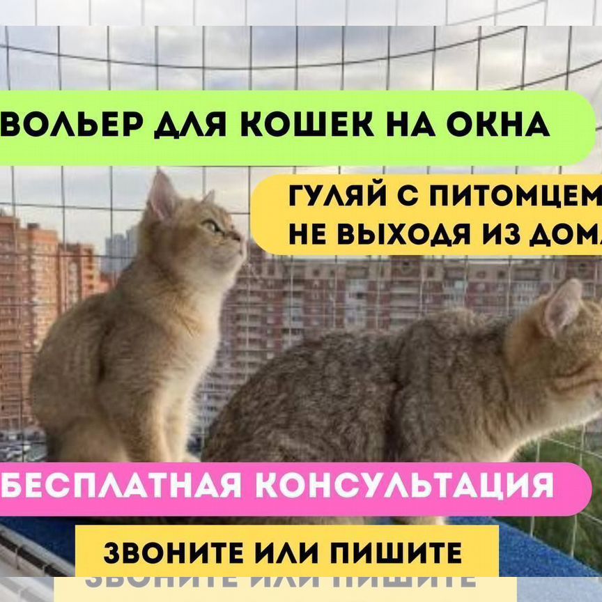 Балкончик для кошек/выгул