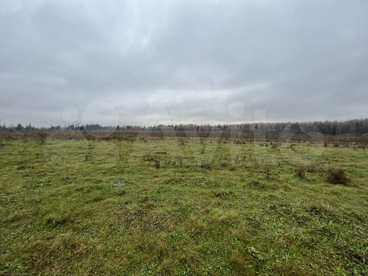 Участок 467 га (СНТ, ДНП)