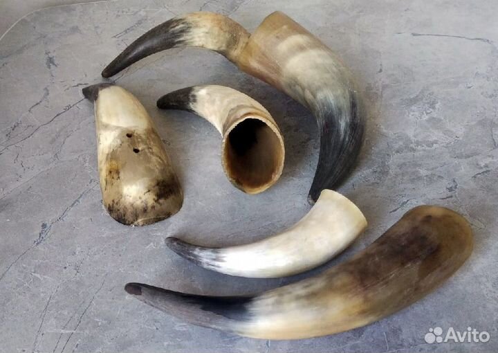 Коровьи рога