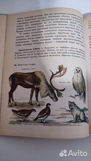 Мельчаков, Скаткин Природоведение 3, 5 класс