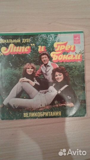 Виниловые пластинки