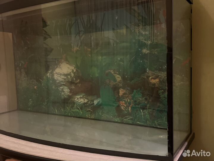 Аквариум с тумбой большой черный