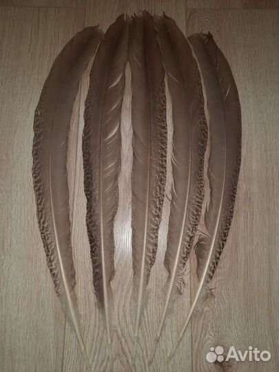 Перья индюшки 5шт вместе комплектом