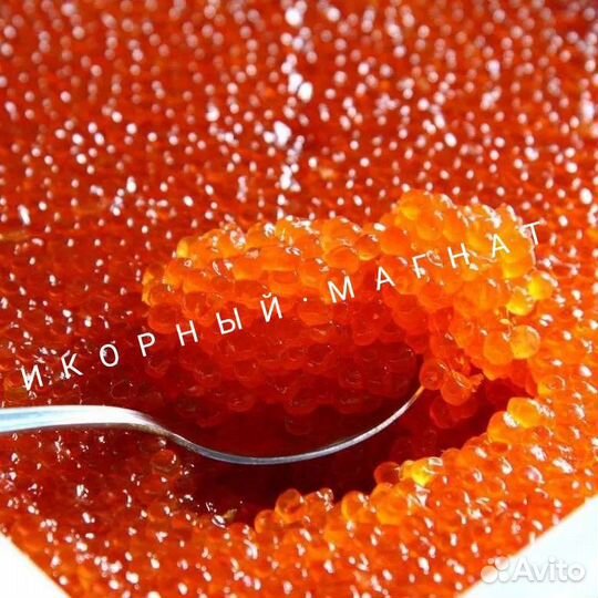 Икра Красная Крупная Камчатка