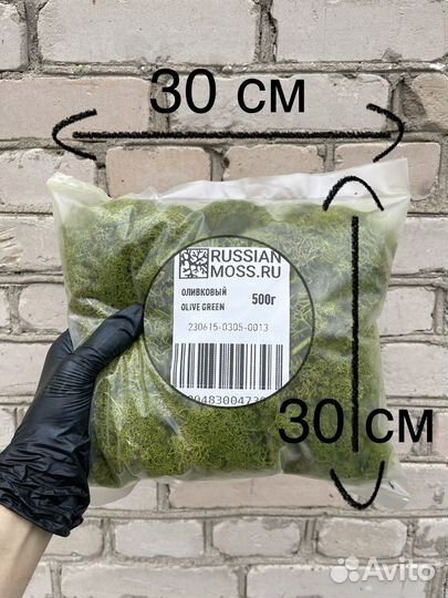 Стабилизированный мох для дизайна, 500г, цвет