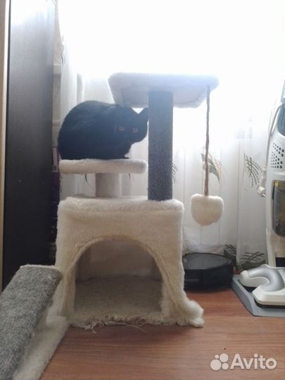 Домик для кошки с когтеточкой