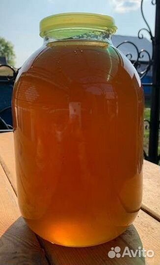 Мед майский