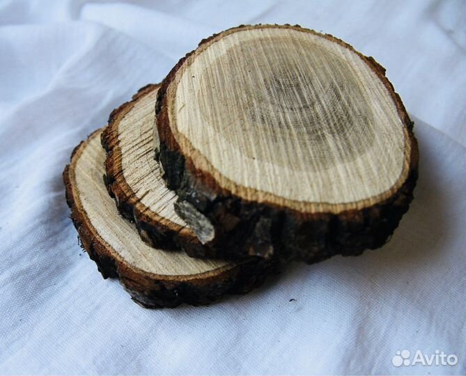 Спил дерева торцевой (дуб )