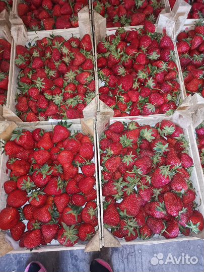 Клубника свежая