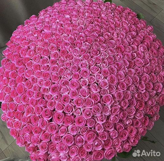 Букет из 1001 розы Голландия