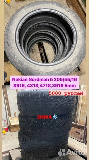 Nordman 5 205/55 R16