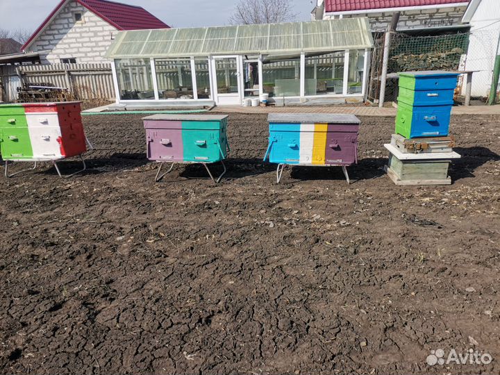 Продам пасеку