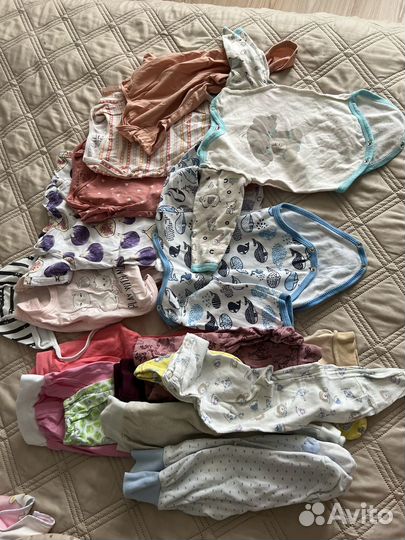 Боди пакетом 56-62