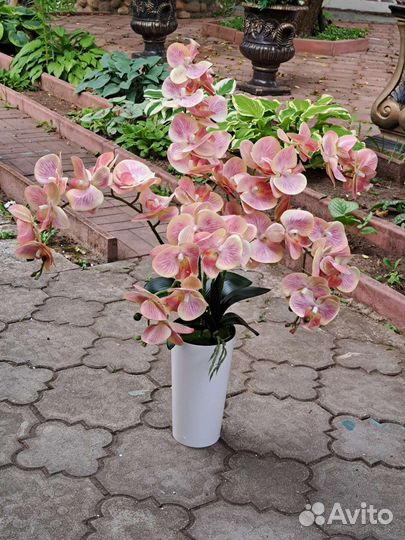 Напольные композиции с орхидеями