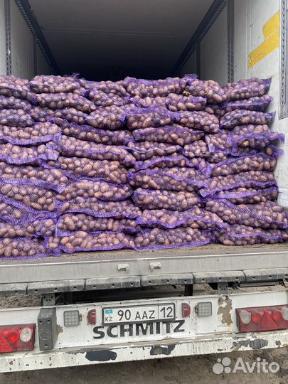 Картофель оптом